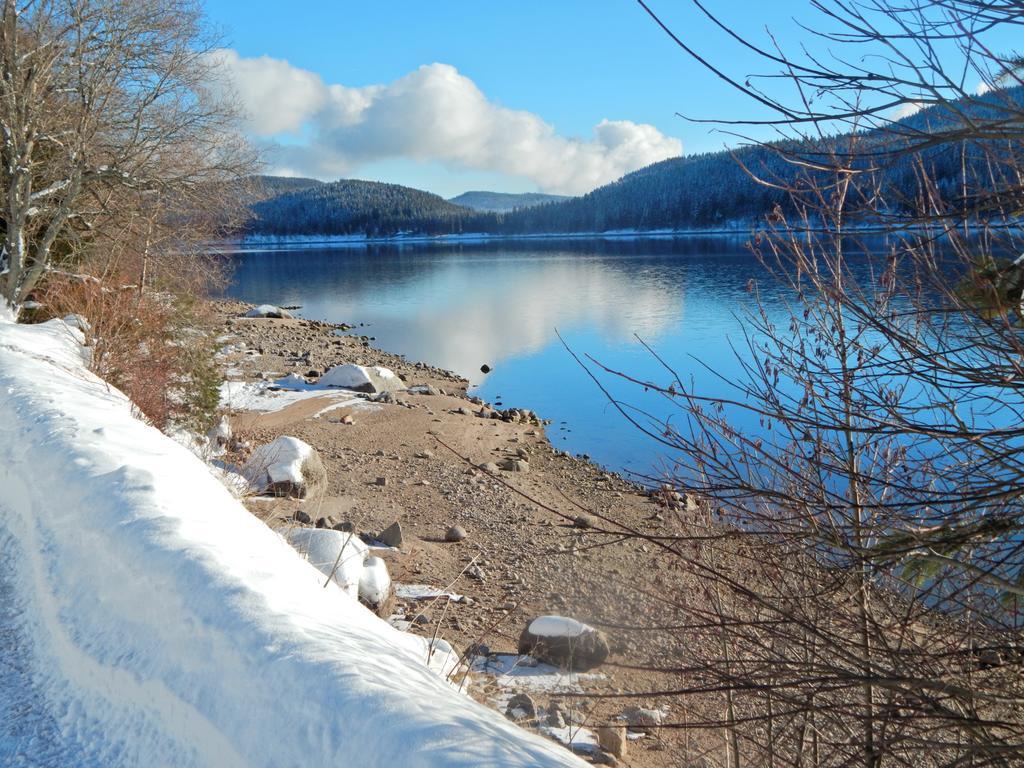 Hochschwarzwald-Hof Hotel Schluchsee Kültér fotó