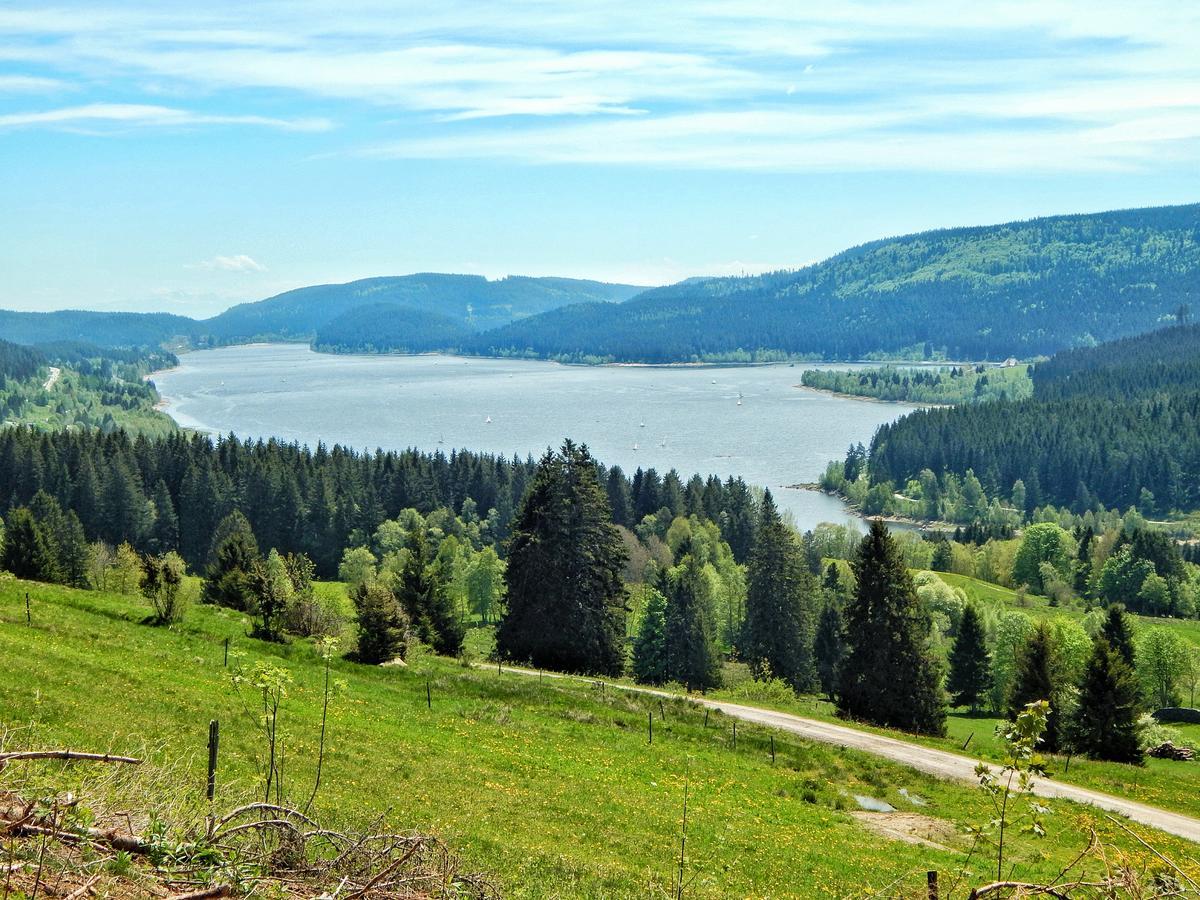 Hochschwarzwald-Hof Hotel Schluchsee Kültér fotó